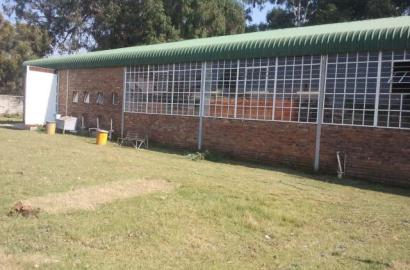 Comfortable 1200sqm Factory To Let